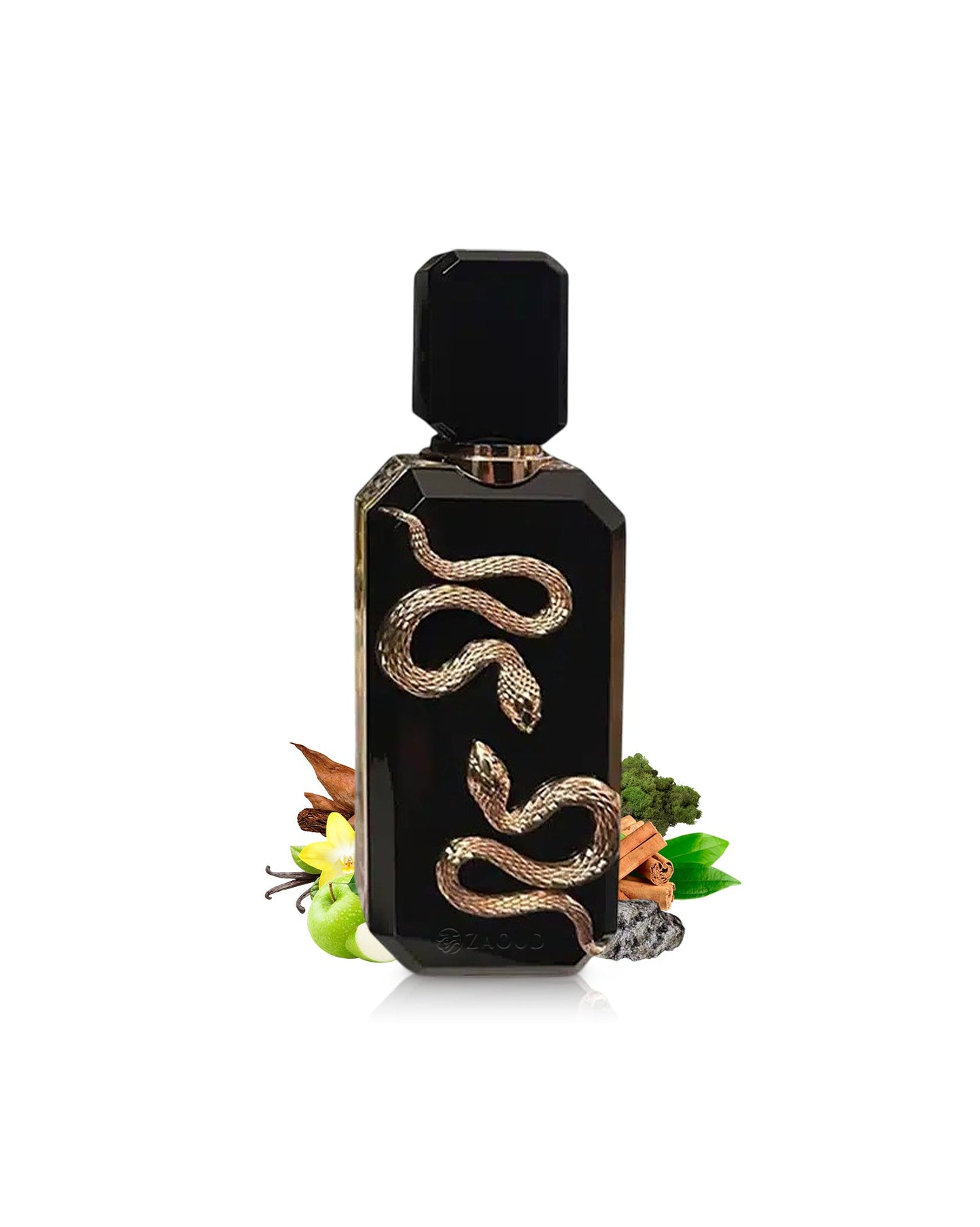 VENENO BLACK Edp by FRENCH AVENUE fragrance image 2 Dubai Aroma South Africa